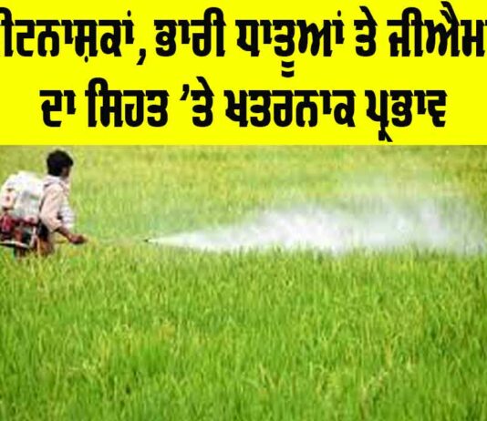 Effects of Pesticides on Health