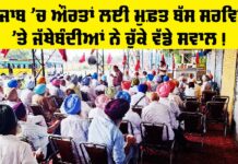 Free Bus Punjab