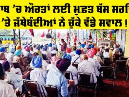 Free Bus Punjab