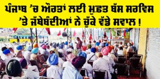 Free Bus Punjab