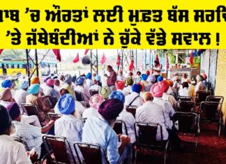 Free Bus Punjab