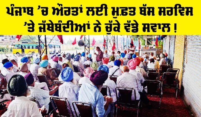Free Bus Punjab