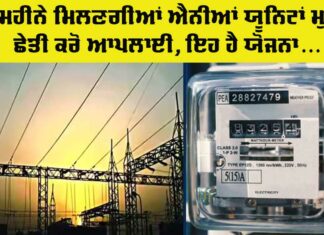 Government Free Electricity Scheme