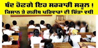 Government School News