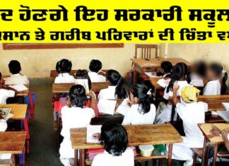 Government School News