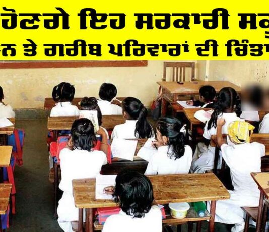 Government School News