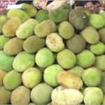 Jackfruit Day