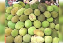 Jackfruit Day