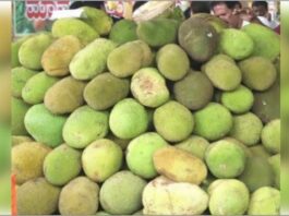 Jackfruit Day