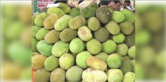 Jackfruit Day