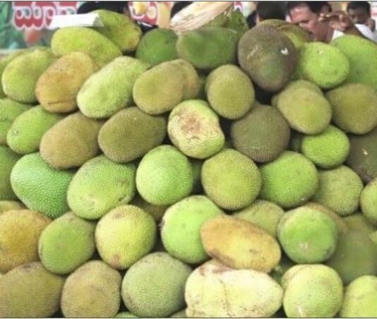 Jackfruit Day