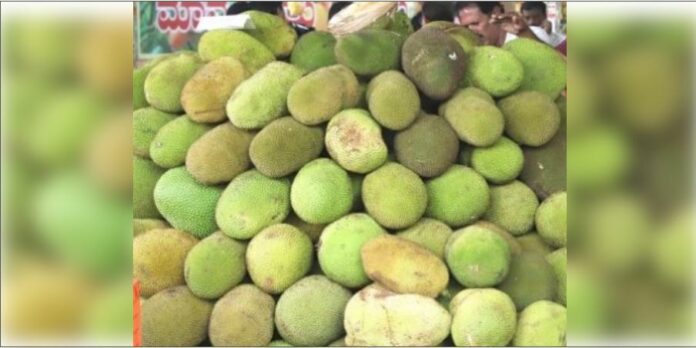 Jackfruit Day