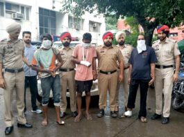 Loot Case In Punjab