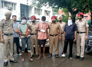 Loot Case In Punjab