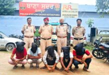 Loot Gang Arreste