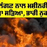 Ludhiana News