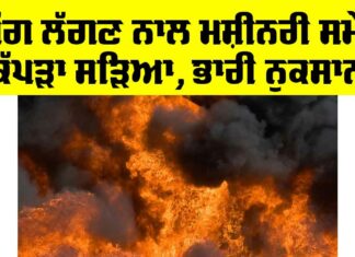 Ludhiana News