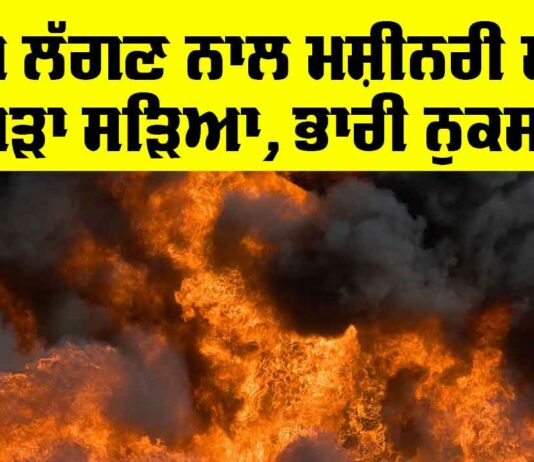Ludhiana News