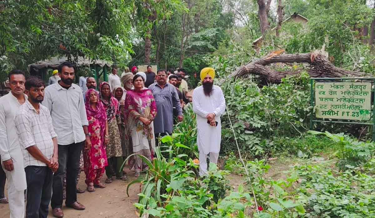 Malerkotla News