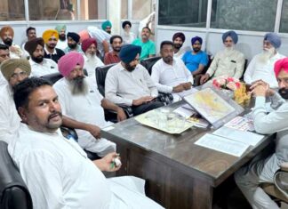 MLA Rai News