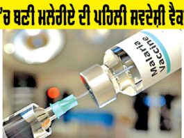 Malaria Vaccine