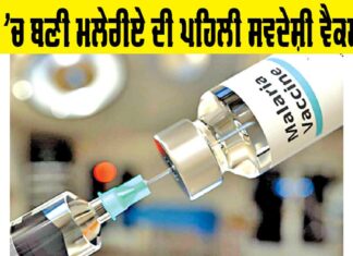 Malaria Vaccine