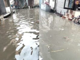 Malerkotla Rain News