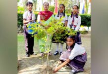 Malout News
