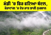 Mandi Cloudburst News