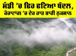 Mandi Cloudburst News