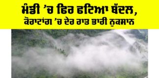 Mandi Cloudburst News