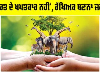 Nature Conservation