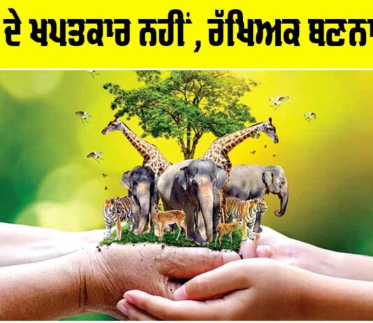 Nature Conservation