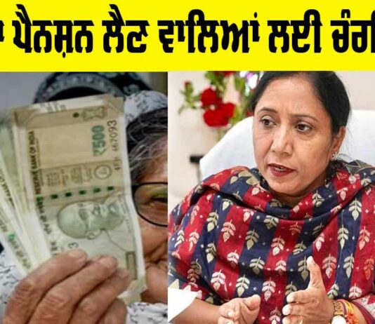 Old Age Pension Punjab