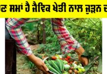 Organic Farming In India