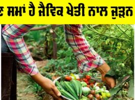 Organic Farming In India