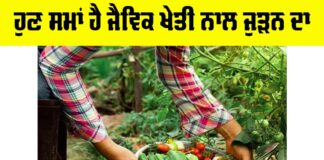 Organic Farming In India