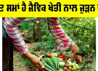 Organic Farming In India