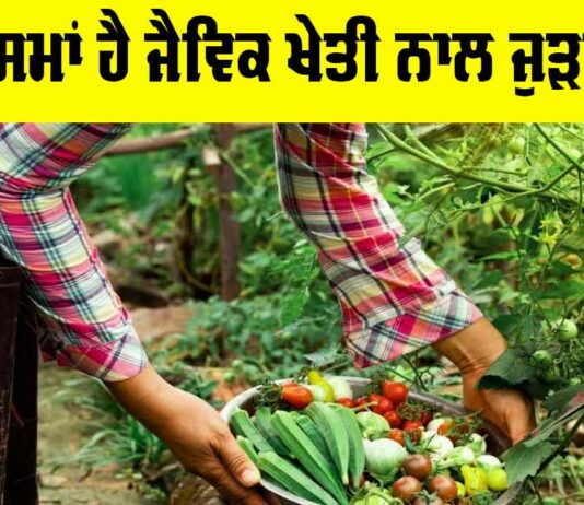Organic Farming In India