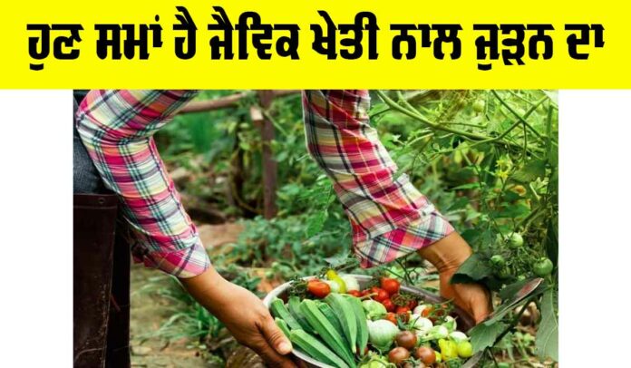 Organic Farming In India