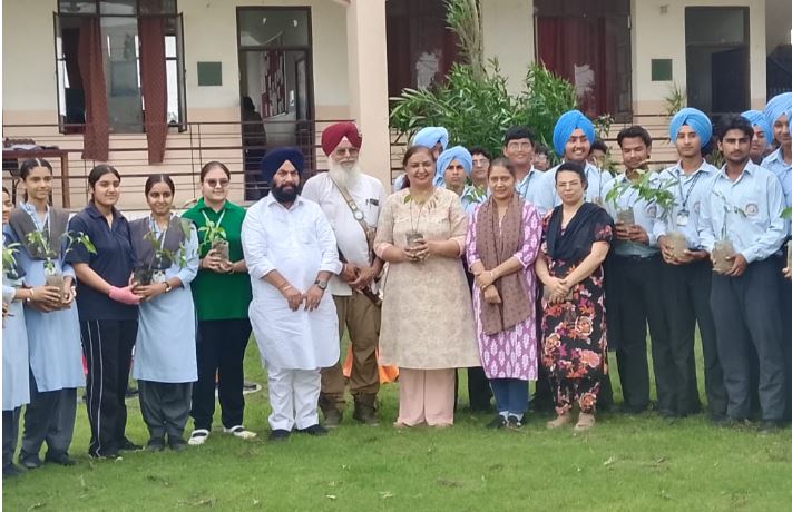 Tree Plantation