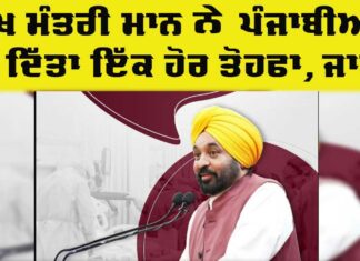 Punjab News