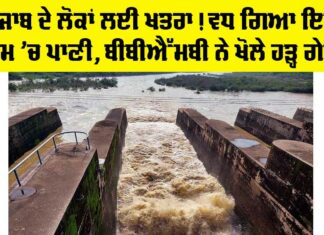 Pong Dam