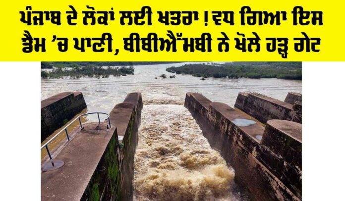 Pong Dam