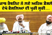 Punjab Cabinet