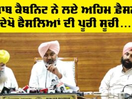 Punjab Cabinet