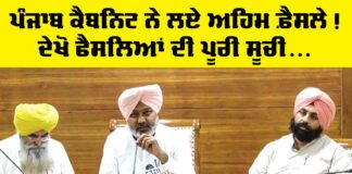 Punjab Cabinet