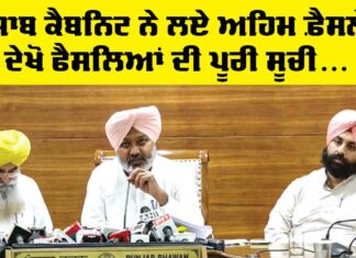 Punjab Cabinet