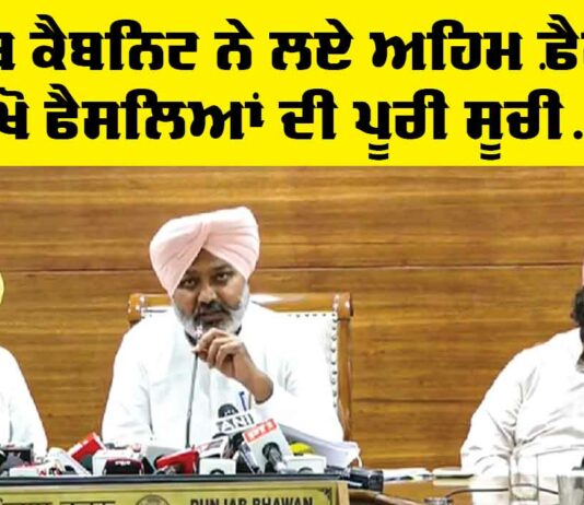 Punjab Cabinet