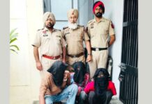 Punjab Crime News